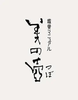 《美之壶》：用镜头烹饪艺术！探索日常之美，感受生活中的诗意