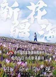 《生命奇观》：BBC神级纪录片，带你领略地球生命的极致之美与残酷真相！