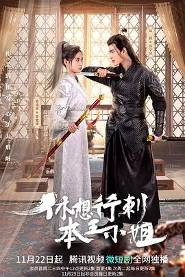 爆笑古装喜剧：《休想行刺本王小姐》！这王小姐有点东西，谁说女子不如男？