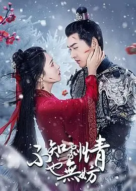 《不知剧情也无妨》：一场迷失与寻觅的奇幻之旅，重拾失落的自我与温情